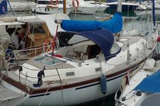 Colvic countess 37