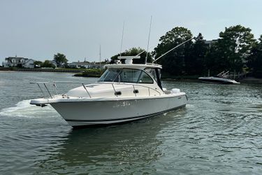 31' Pursuit 2011