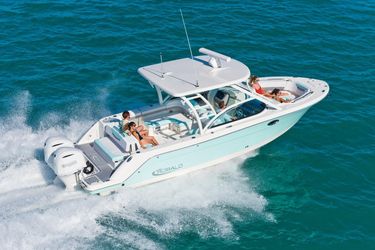 31' Robalo 2023