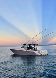 38' Bertram 2022