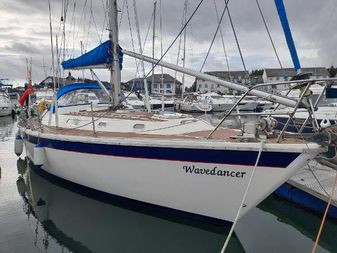 Westerly Sealord 39