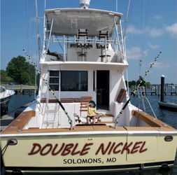 55' Viking 1999