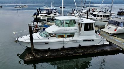 50' Carver 1997