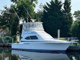 39' Bertram 2001