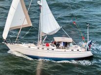 Brewer 44