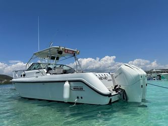 31' Boston Whaler 2001