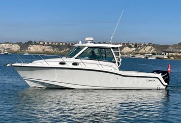 31' Boston Whaler 2016