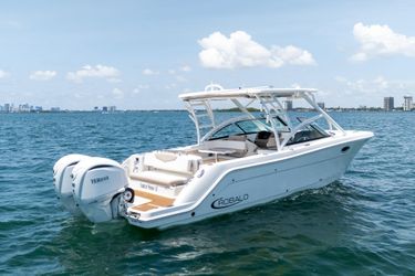 31' Robalo 2024