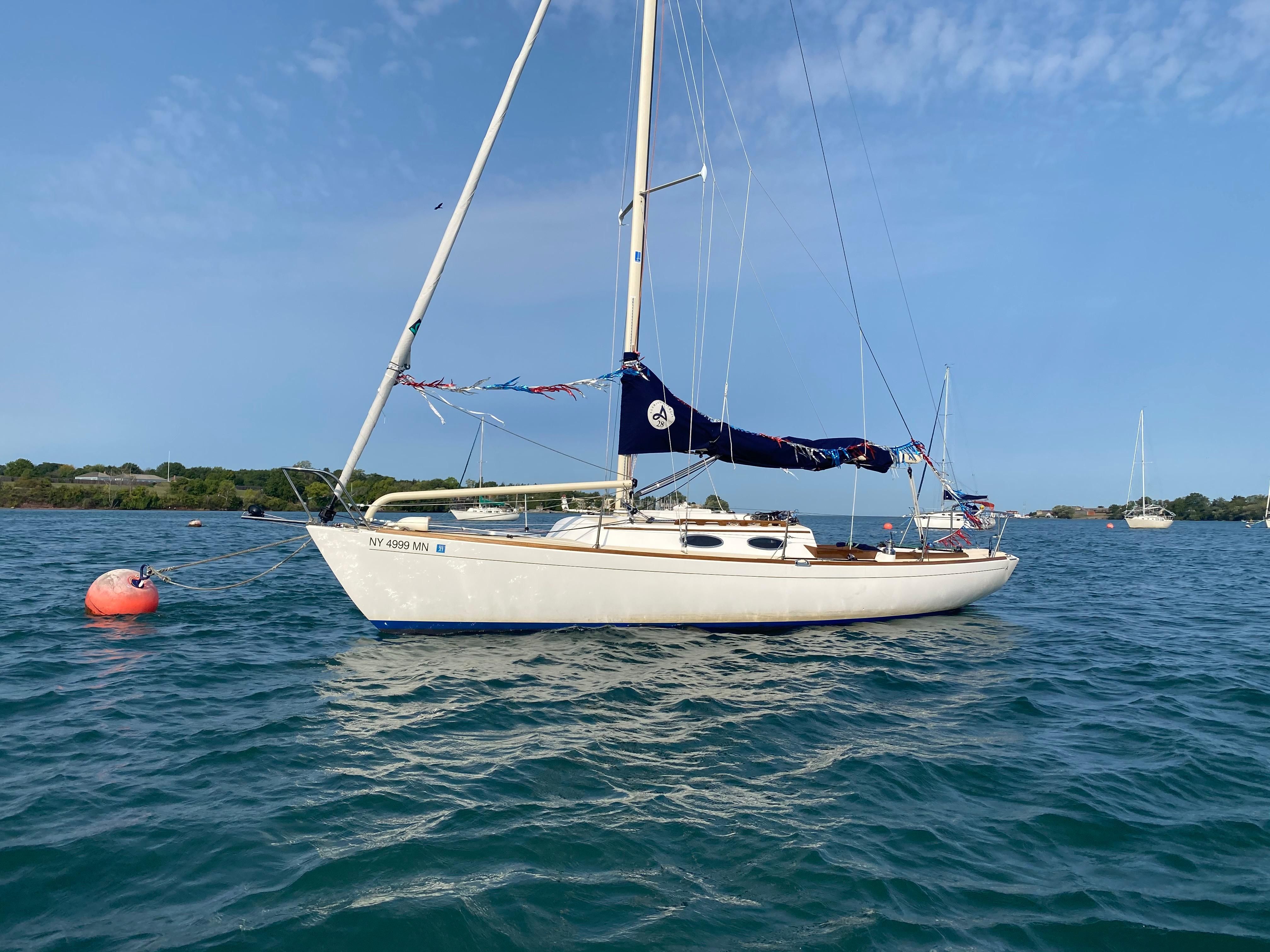 bongo 28 sailboat