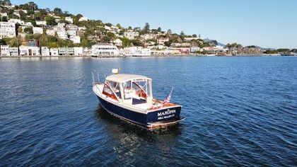29' Dyer 1980