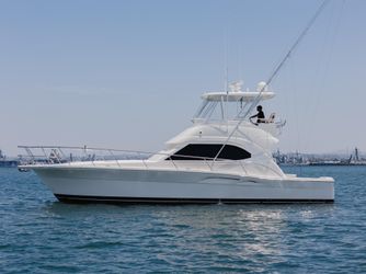 42' Riviera 2008 Yacht For Sale