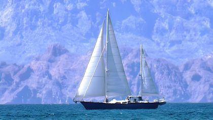 65' Irwin 1984