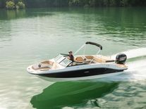Sea Ray SPX 210 Outboard