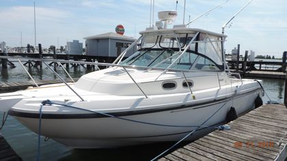 29' Boston Whaler 2002