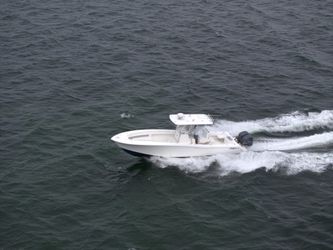 33' Invincible 2012