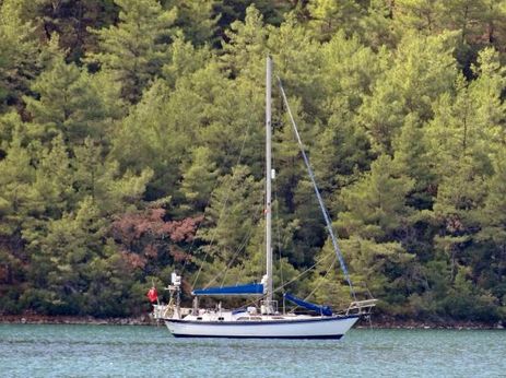 Tayana 42 Boats For Sale Yachtworld