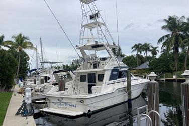 Sea Ray 430 Convertible