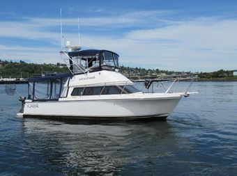 Skipjack 300 Flybridge