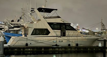 50' Navigator 1993