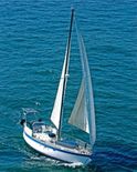 Polaris Cutter