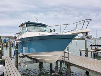33' Grady-white 2018