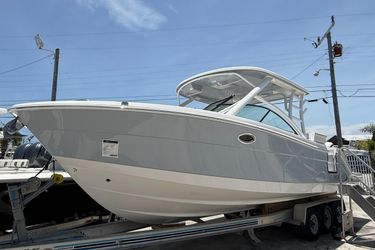 31' Robalo 2024