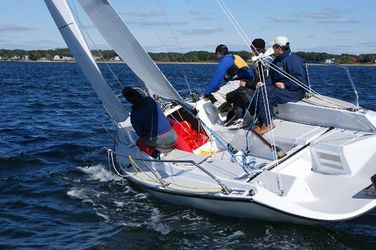 Colgate 26