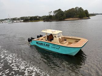 30' Bluecat 2024