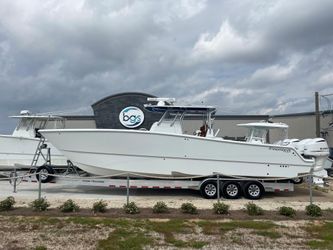 37' Freeman 2019