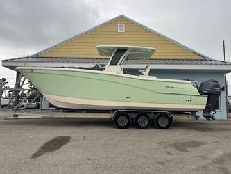 28' World Cat 2023