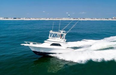 35' Jupiter 2003