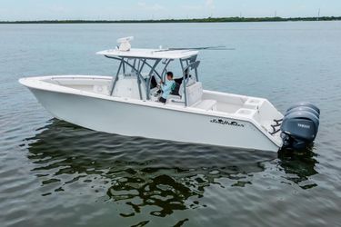 33' Seahunter 2024