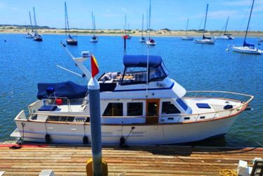 43' Ocean Alexander 1983
