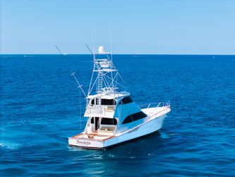 70' Viking 2012