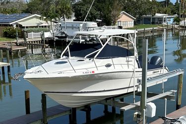 31' Century 2018