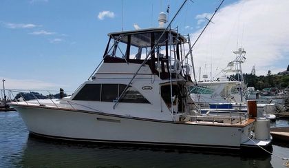 46' Ocean Yachts 1983