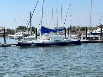 48' Wharram 2015