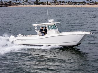 32' World Cat 2024