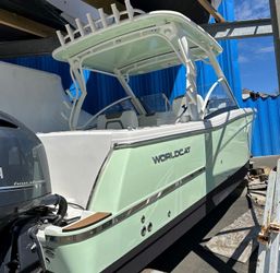 27' World Cat 2023