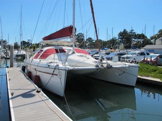 37' Alliaura 2000