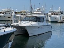 ArrowCat 30