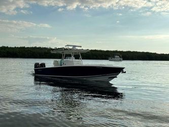 31' Jupiter 2008