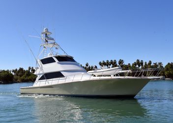 65' Viking 2003