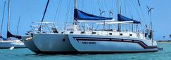 Custom Hedley Nicol Trimaran Voyager