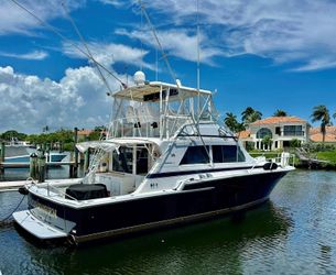54' Bertram 1982