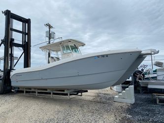 32' World Cat 2020