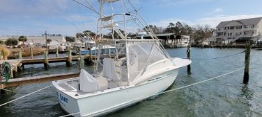 Sunny Briggs 28 Express