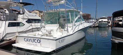 40' Cabo 2010