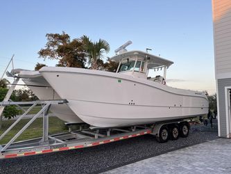 32' World Cat 2020