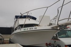 Skipjack 262 Flybridge
